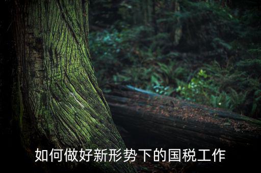 如何貫徹國稅工作會議上的講話，如何貫徹落實國稅系統(tǒng)化政府采購工作規(guī)范