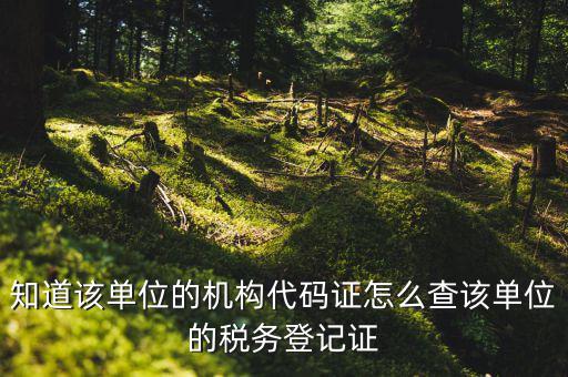 如何查企業(yè)稅務登記證號，公司的稅務登記證號怎么查詢