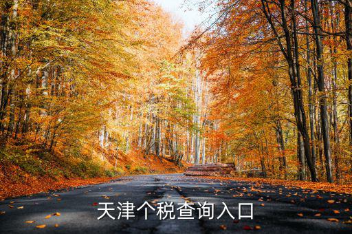 天津個(gè)稅如何查詢密碼，天津個(gè)稅查詢?nèi)肟?/></a></span><span id=