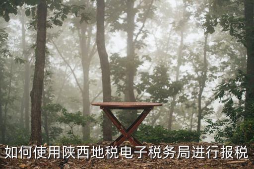 電子稅務局如何操作，如何使用陜西地稅電子稅務局進行報稅