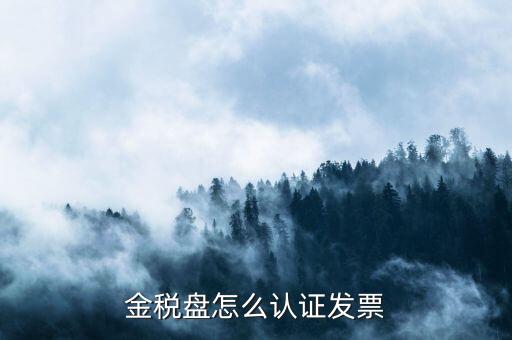 如何用金稅盤認(rèn)證發(fā)票，金稅盤怎么認(rèn)證發(fā)票