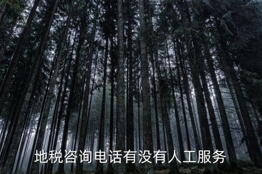 北京12366如何轉(zhuǎn)人工，我有關(guān)于北京稅務(wù)的問題因為很復(fù)雜你們有沒有電話可以直接溝通