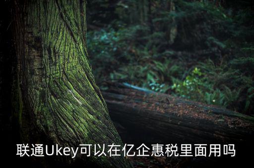 億企惠稅如何填報(bào)，聯(lián)通硬證書里面還贈(zèng)送的其他產(chǎn)品是什么怎么用