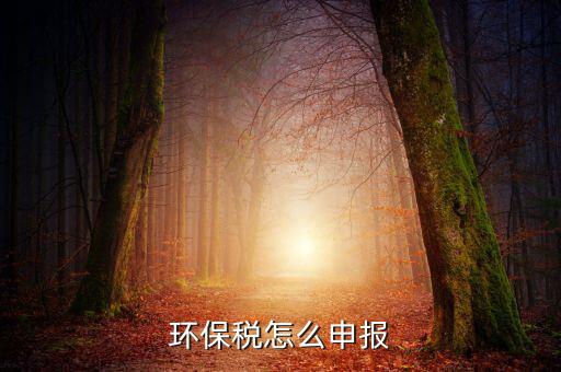 環(huán)境保護(hù)稅b類如何申報(bào)表，環(huán)保稅申報(bào)步驟是什么