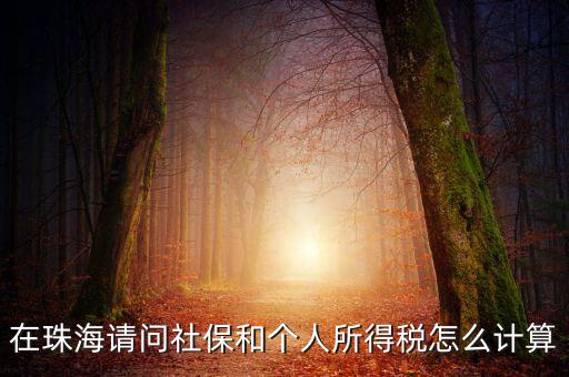 在珠海請問社保和個(gè)人所得稅怎么計(jì)算