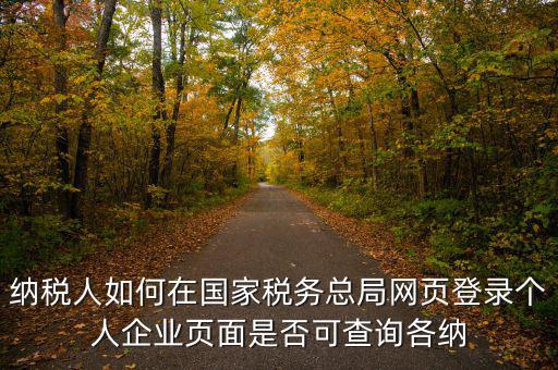 納稅人如何在國(guó)家稅務(wù)總局網(wǎng)頁(yè)登錄個(gè)人企業(yè)頁(yè)面是否可查詢(xún)各納