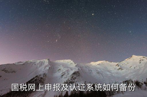 稅友申報軟件如何備份，國稅網(wǎng)上申報及認(rèn)證系統(tǒng)如何備份