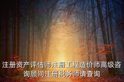 如何查詢稅務(wù)師信息，注冊(cè)稅務(wù)師報(bào)名時(shí)的信息哪里能查到