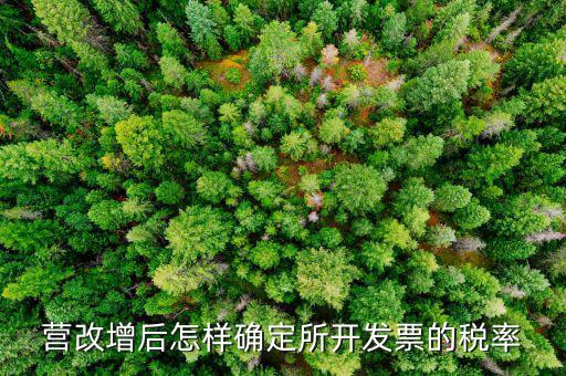 開票時稅率如何確認，發(fā)票的稅是怎么算的是不是數(shù)額越大要繳稅的百分比就越大比