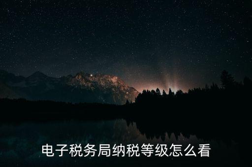 a級納稅人如何查詢，電子稅務(wù)局納稅等級怎么看