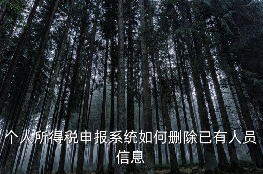 金三系統(tǒng)個(gè)稅申報(bào)人員如何刪除，如何刪掉個(gè)人所得稅人員信息