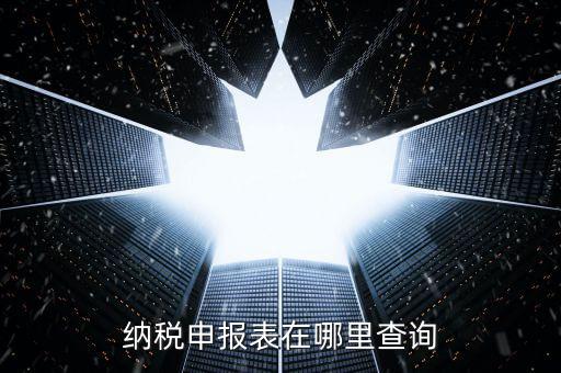 納稅申報(bào)表在哪里查詢(xún)