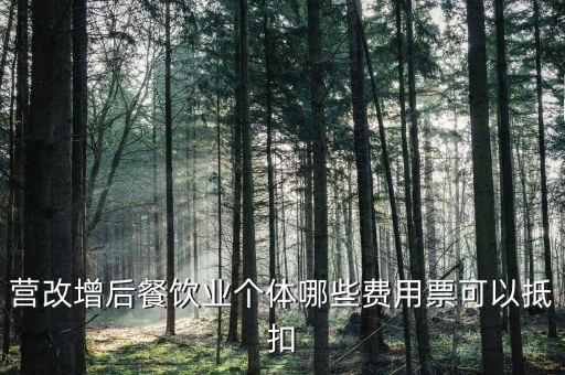 餐飲業(yè)如何抵扣，餐飲業(yè)無(wú)法向個(gè)人消費(fèi)者開(kāi)具增值稅專用發(fā)票那怎么抵扣進(jìn)項(xiàng)稅