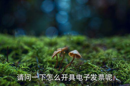 上海如何申領(lǐng)電子發(fā)票，請問一下怎么開具電子發(fā)票呢