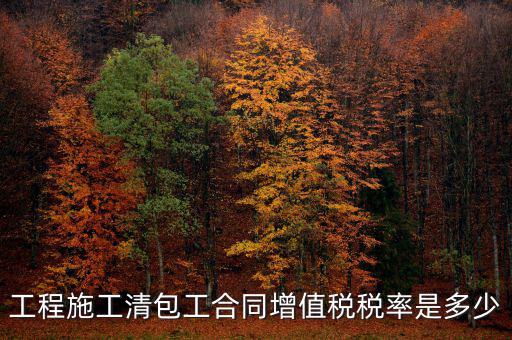 清包工 如何稅務(wù)，一般納稅人去國稅說明是清包工怎么寫說明