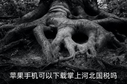河北掌上國稅如何注冊，蘋果手機可以下載掌上河北國稅嗎