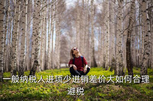 一般納稅人進(jìn)項(xiàng)少進(jìn)銷(xiāo)差價(jià)大如何合理避稅