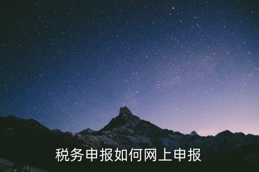 網(wǎng)上系統(tǒng)如何申報(bào)稅，稅務(wù)申報(bào)如何網(wǎng)上申報(bào)