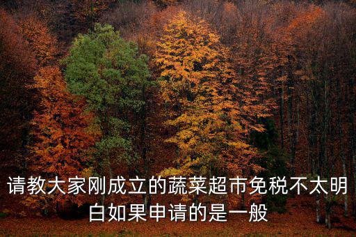 蔬菜免稅如何申請(qǐng)，如何申請(qǐng)蔬菜免稅發(fā)票