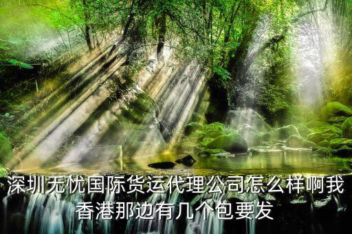 深圳無憂國際貨運(yùn)代理公司怎么樣啊我香港那邊有幾個(gè)包要發(fā)
