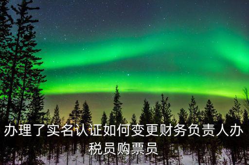 辦理了實名認證如何變更財務(wù)負責(zé)人辦稅員購票員