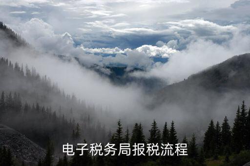 如何在電子稅務(wù)局進(jìn)行納稅申報，電子稅務(wù)申報如何操作