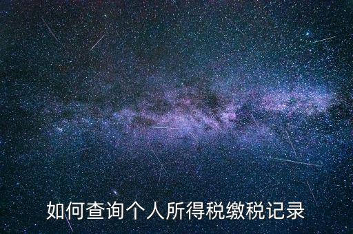 上海地稅局如何查個(gè)人所得稅繳稅記錄，上海市工資個(gè)稅繳納記錄如何查詢