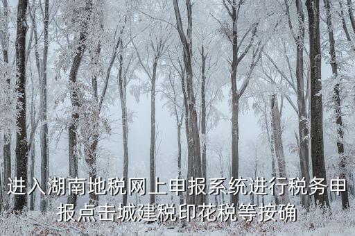 湖南省地稅局個(gè)人如何注冊(cè)，湖南地稅網(wǎng)上申報(bào)系統(tǒng)