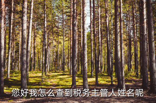 如何查稅務(wù)管理所，怎么才能查到各地工商局的稅務(wù)證登記