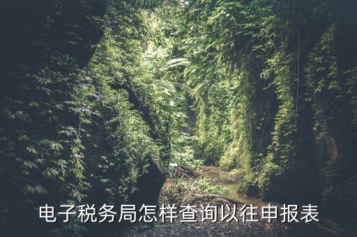 寧波地稅如何查往期申報(bào)信息，怎樣查看地稅網(wǎng)上申報(bào)記錄