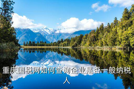 如何查詢增值稅一般納稅人資格，重慶國稅網(wǎng)如何查詢企業(yè)是否一般納稅人