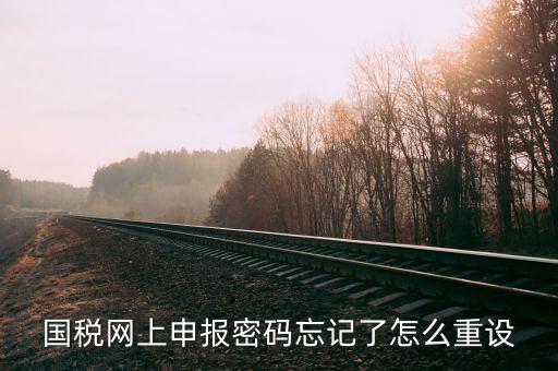 網(wǎng)上稅務(wù)局登錄密碼如何重置，國(guó)稅網(wǎng)上申報(bào)密碼忘記了怎么重設(shè)