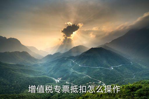 專票如何全額抵扣，增值稅專用發(fā)票買(mǎi)家怎么抵扣 抵扣多少
