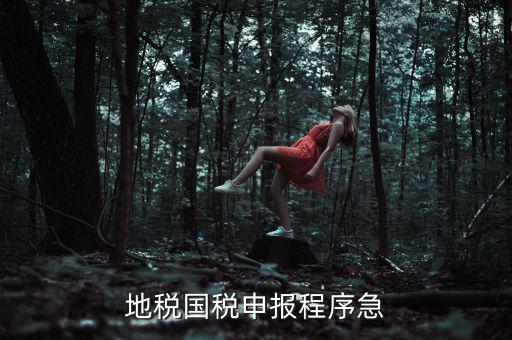 國(guó)稅地稅如何辦理流程，我想知道申報(bào)國(guó)稅地稅的流程包括前期需要什么資料期間如何
