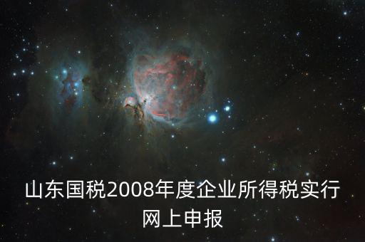 山東國稅2008年度企業(yè)所得稅實(shí)行網(wǎng)上申報(bào)