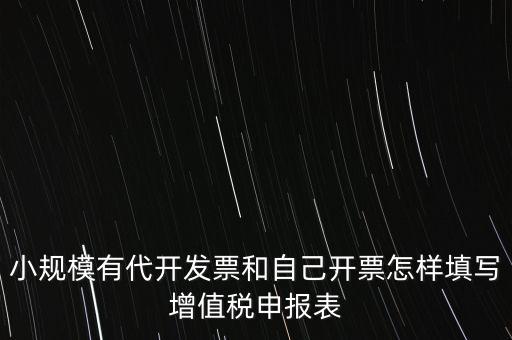 代開專票申報時如何填寫，自助開具增值稅專用發(fā)票申報單怎么填