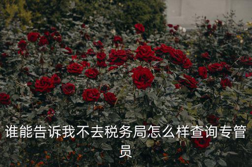 如何查納稅人的稅管員，誰能告訴我不去稅務(wù)局怎么樣查詢專管員