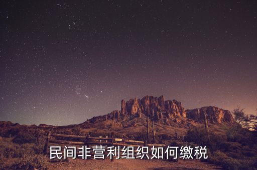 非營利組織如何納稅，民間非營利組織如何繳稅
