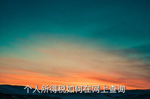 天津如何查個人所得稅，個人所得稅如何在網上查詢