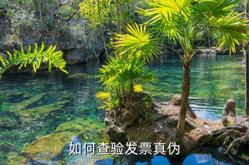 如何查詢專用發(fā)票真?zhèn)尾樵?，如何查?yàn)發(fā)票真?zhèn)?/></a></span><span id=