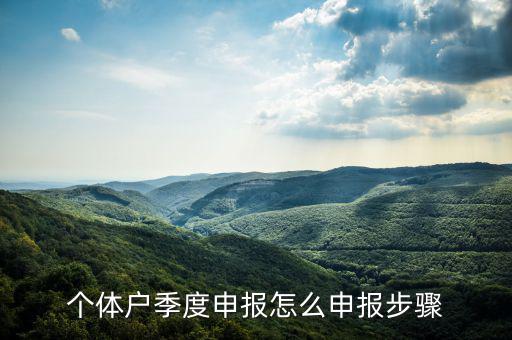 個(gè)體戶(hù)如何季度申報(bào)表，個(gè)體戶(hù)每個(gè)季度怎樣報(bào)稅