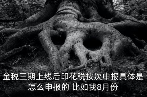 金稅三期如何填報印花稅表，印花稅申報報表要怎么填啊