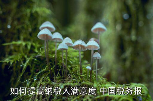 地稅如何提升納稅人滿意度，如何提高納稅人滿意度 中國稅務(wù)報(bào)