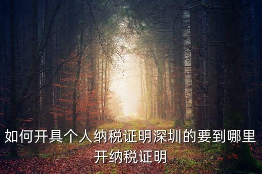 如何開地方稅務局納稅證明，地稅證明怎么開