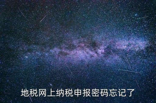 地稅網上納稅申報密碼忘記了