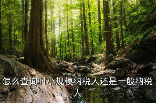 如何查詢(xún)成為納稅人時(shí)間，怎么查詢(xún)時(shí)小規(guī)模納稅人還是一般納稅人