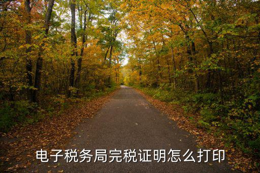 福建省網(wǎng)上稅務(wù)局如何打印，電子稅務(wù)局完稅證明怎么打印