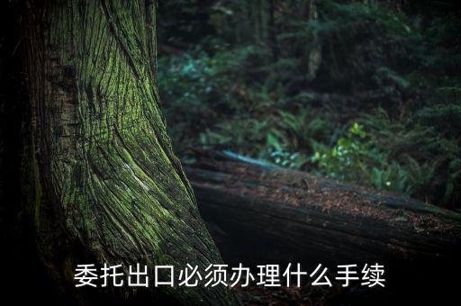 如何開具代理出口貨物證明，代理公司在當(dāng)?shù)亻_具代理出口貨物證明 請(qǐng)問我公司如何