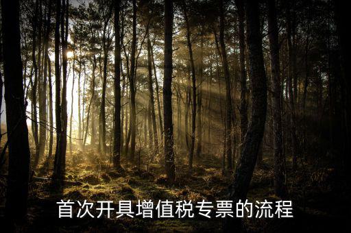 如何申請(qǐng)?jiān)鲋刀悓Ｆ?，怎么申辦專用發(fā)票