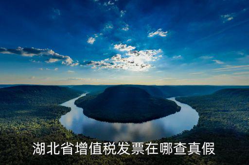 如何查詢湖北省增值稅發(fā)票真?zhèn)?，湖北省增值稅發(fā)票在哪查真假